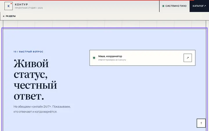 Предпросмотр: Статус живого чата